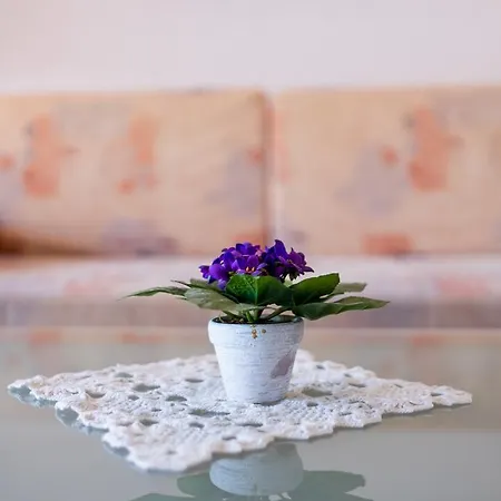 Apartment Petrovic 2