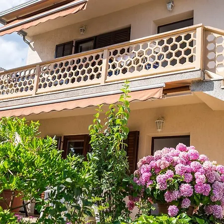 Apartment Petrovic 2 *